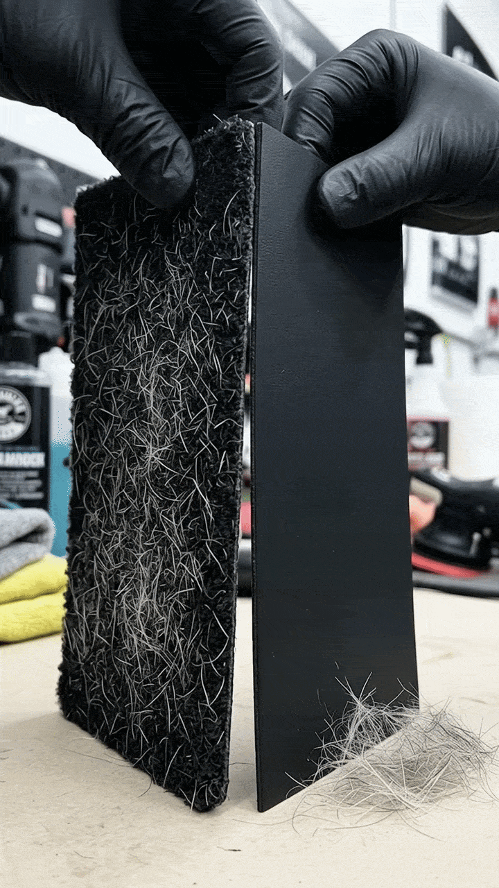 Dog hair pressed deep into carpet fibers